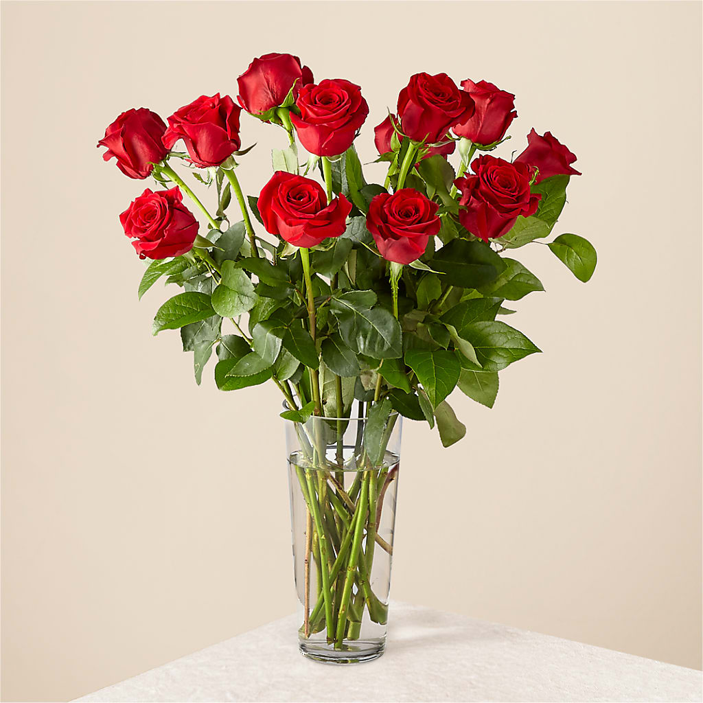 Long Stem Red Rose Bouquet – Seminole Florist, Seminole FL