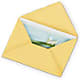 Greeting Card – Seminole Florist, Seminole FL