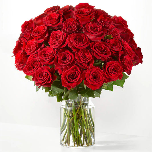 Santa Baby Premium Long Stem Red Rose Arrangement