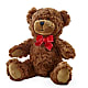 Adorable Plush Bear –  Seminole Florist, Seminole FL