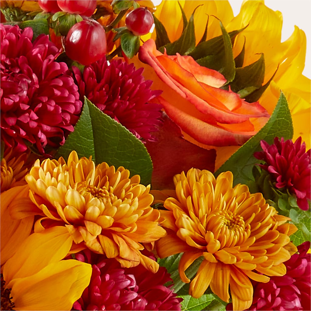 Sweater Season - A Florist Original –  Seminole Florist, Seminole FL