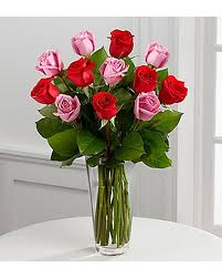 Long Stem Mix Color Roses