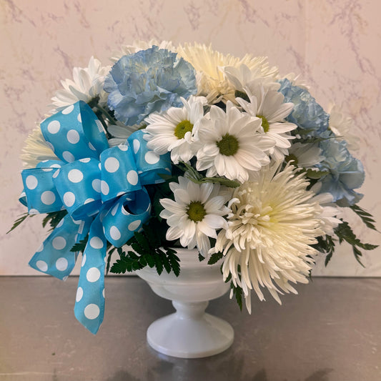 Welcome home little guy!